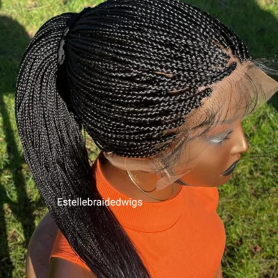 Lace Braided Wig
